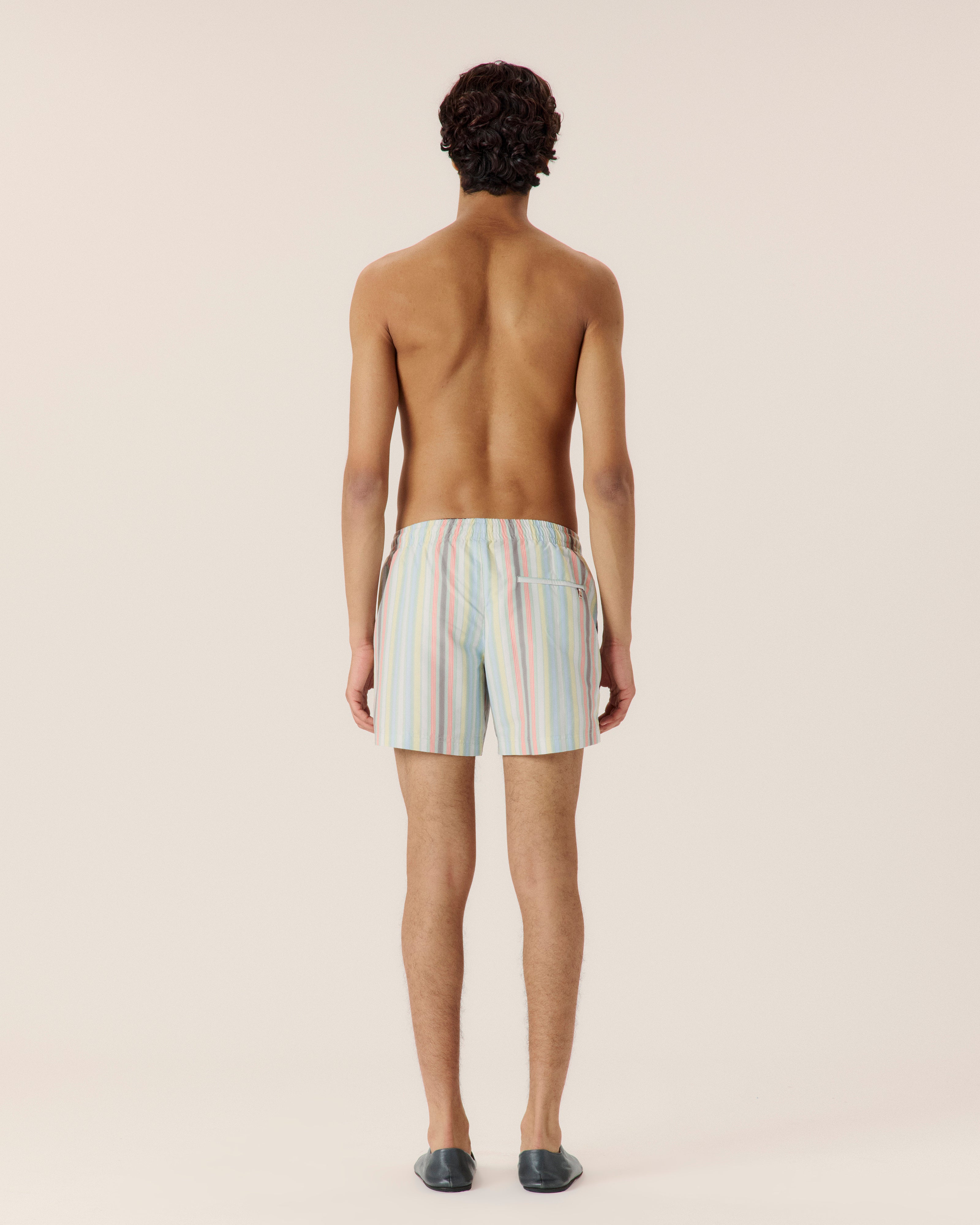 Sereno Stripe Classic Swim Short - COMMAS